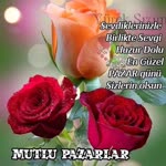 Derya