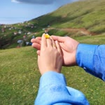 Emine