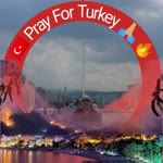 Halil