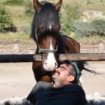 Atakan