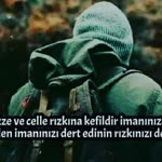 Veli