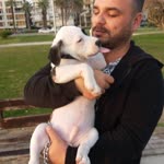 Serkan