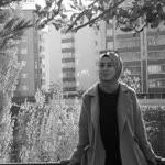 Havva