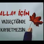 Yavuz