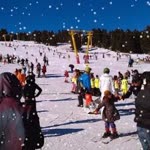 Aysun