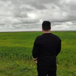 Rojat
