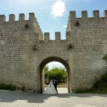 Erol