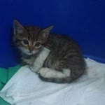 Profil fotoğrafı