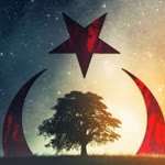 Gelengül
