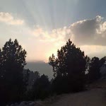 Aysegul