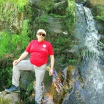 Erdal
