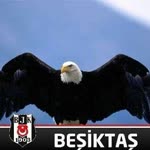 Serkan