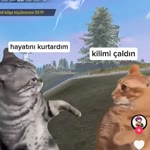 Yusuf