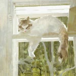 Beyza