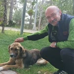 Cumayı