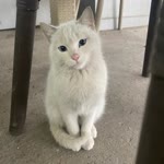 Pınar