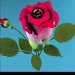 Burak