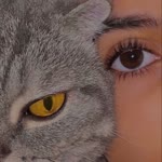 Ayşe