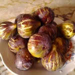 Kübra