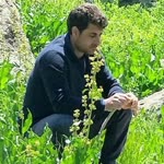 Metin
