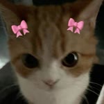 Elif