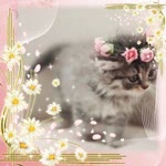 Özlem