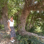 Sinem