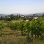 Yusuf