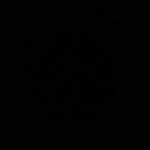 Mücahit