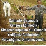 Kadriye