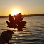 Sümeyye