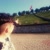 profile-icon