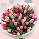 Arzu