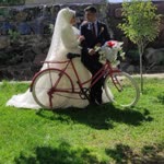 Birgül