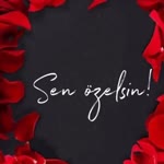 Şule