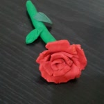 Rabia
