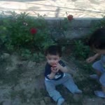 Burcu