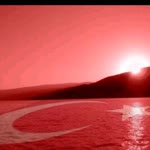 Aynur