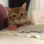 Esra