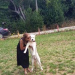 Selin