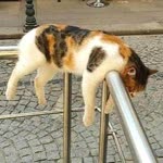 Gamze