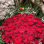 Dilek