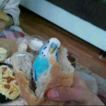 Abuzer