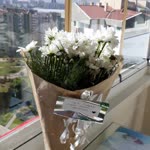 Hatice
