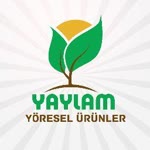 Yasin