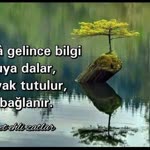 Ferhat