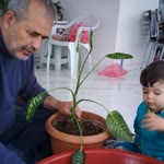 Hacı