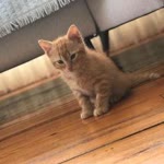 Furkan