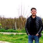 Şahin
