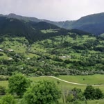 Çiğdem